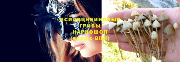 винт Аркадак