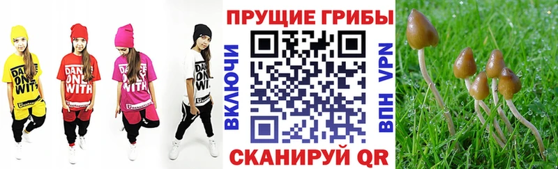 Галлюциногенные грибы Magic Shrooms  где купить   Асбест 